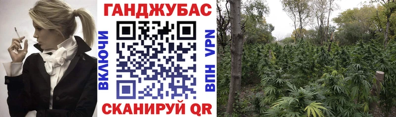 закладки  Ульяновск  Бошки Шишки тримм 
